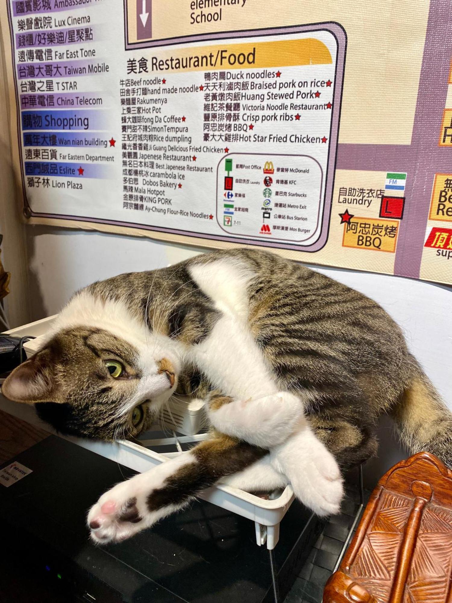 Taipei Triple Tiger Inn Eksteriør billede
